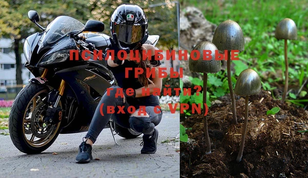 бошки Аркадак