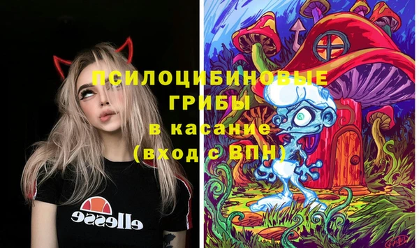 ПСИЛОЦИБИНОВЫЕ ГРИБЫ Армянск