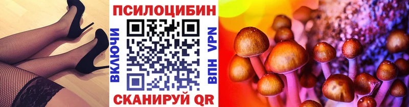 Купить  Сафоново  Галлюциногенные грибы MAGIC MUSHROOMS 